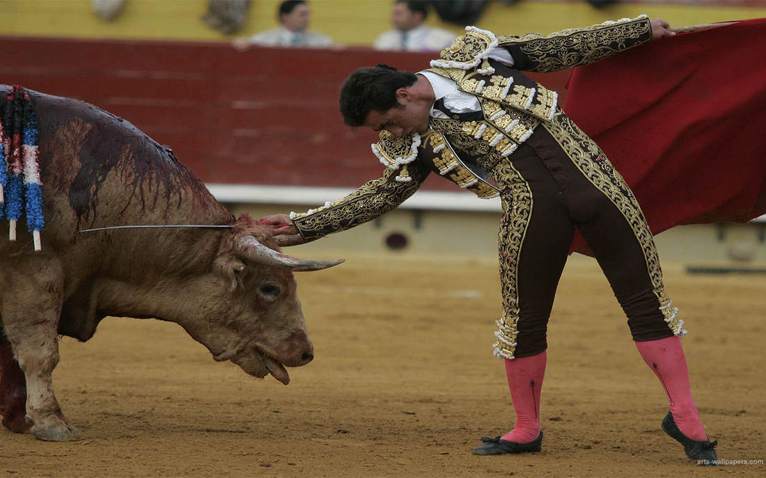 Bullfighting Esdaw