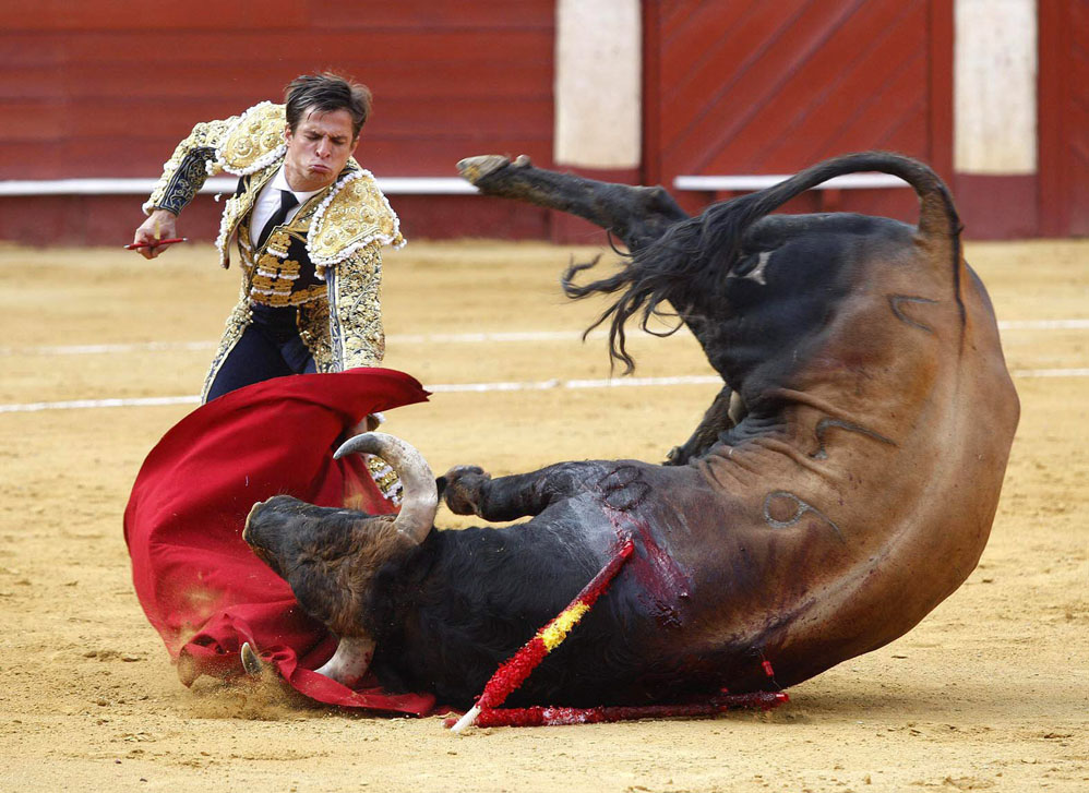Bullfighting Spain ESDAW